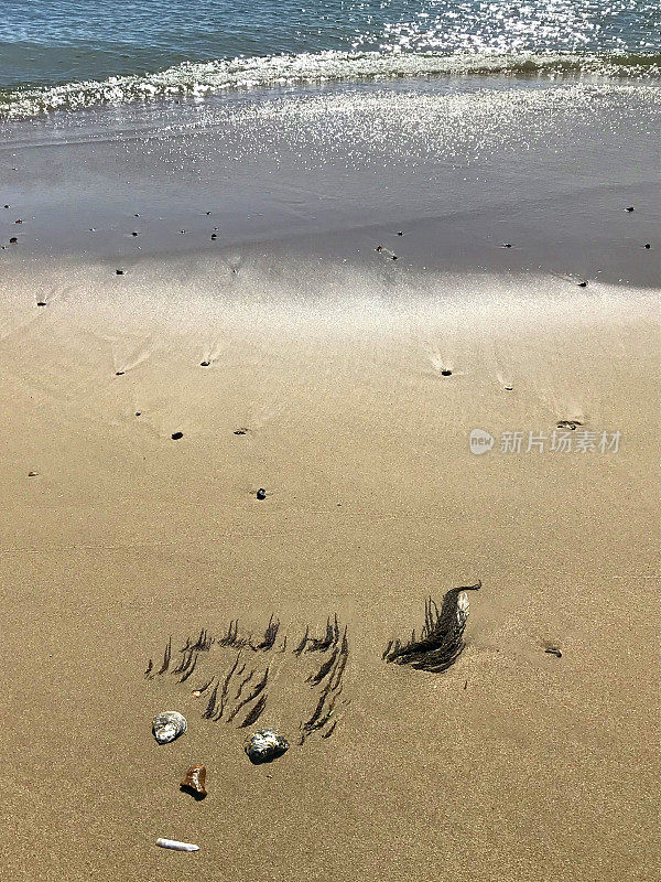 海滩艺术的形象，快乐的怪物美人鱼的脸，用海藻/海藻的头发，贝壳的眼睛，鹅卵石笔记，剃刀蛤壳的嘴和石头在金色的沙子，人鱼的图片旁边的海滨海岸线